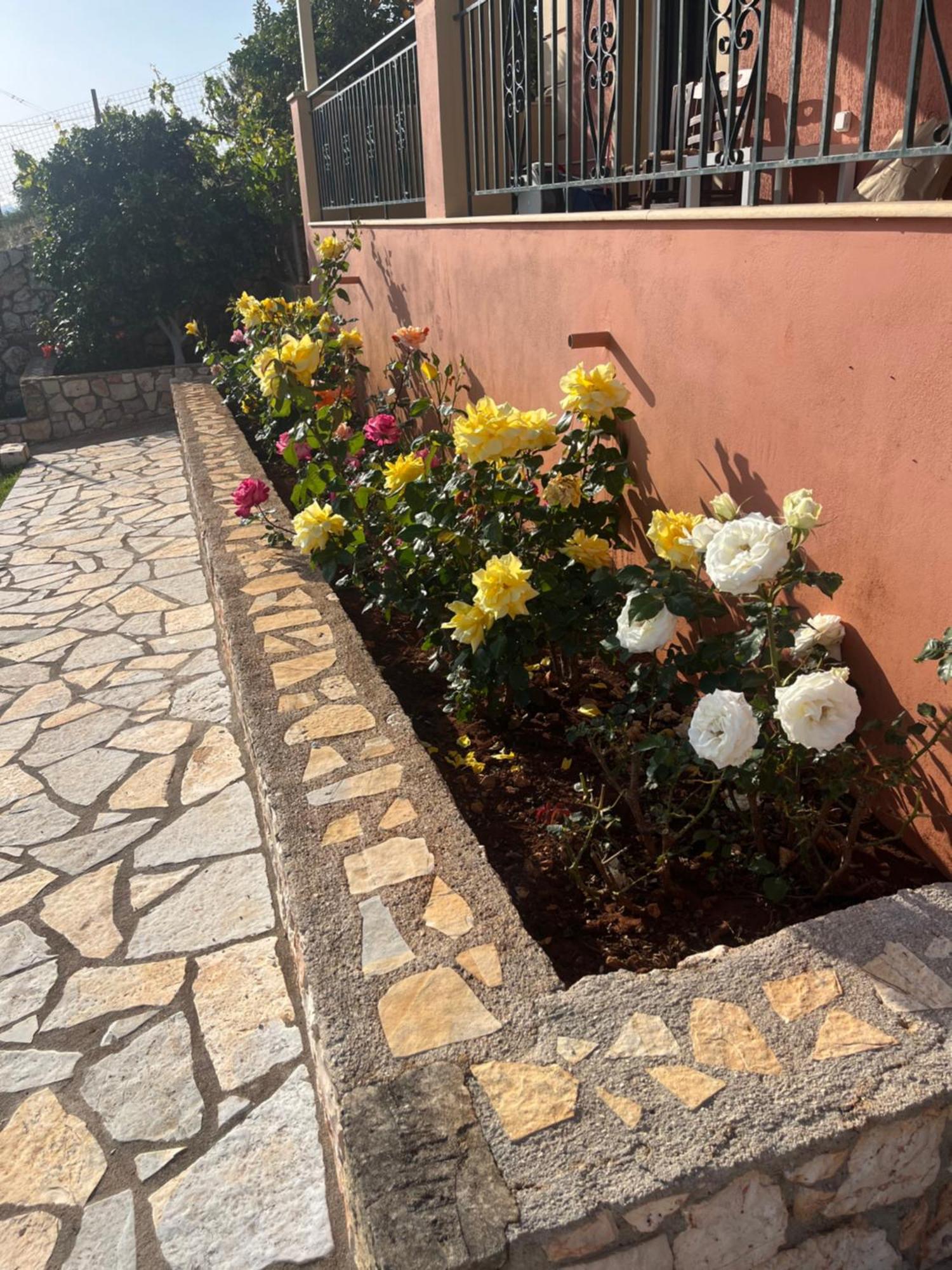 La Casa Di Lena Διαμέρισμα Αργοστόλι Εξωτερικό φωτογραφία